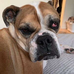 Meet your Posher, Jen